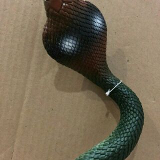 ภาพขนาดย่อของภาพหน้าปกสินค้างู งูยาง งูปลอม ไล่นก ขนาด 90 ซม.(1 ตัว ) จากร้าน kittapon3 บน Shopee