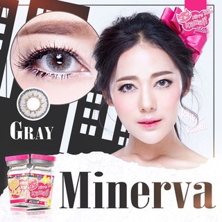 Minerva Gray (1)(2) สีเทา เทา บิ๊กอาย ขอบฟุ้ง Kitty Kawaii Contact Lens Bigeyes คอนแทคเลนส์ ค่าสายตา สายตาสั้น แฟชั่น