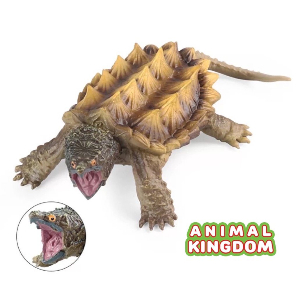 animal-kingdom-โมเดลสัตว์-เต่าอัลลิเกเตอร์-น้ำตาล-ขนาด-15-00-cm-จากสงขลา