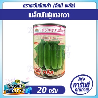 เมล็ดพันธุ์แตงกวาลูกผสม (อัคนี พลัส) 20 กรัม ตราตะวันต้นกล้า เมล็ดพันธุ์ผัก เมล็ดพันธุ์พืช ผักสวนครัว ต้นไม้