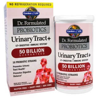 ✨pre order✨🇺🇸 Garden of Life Dr. Formulated Probiotics, Urinary Tract+, 60 Veggie Caps