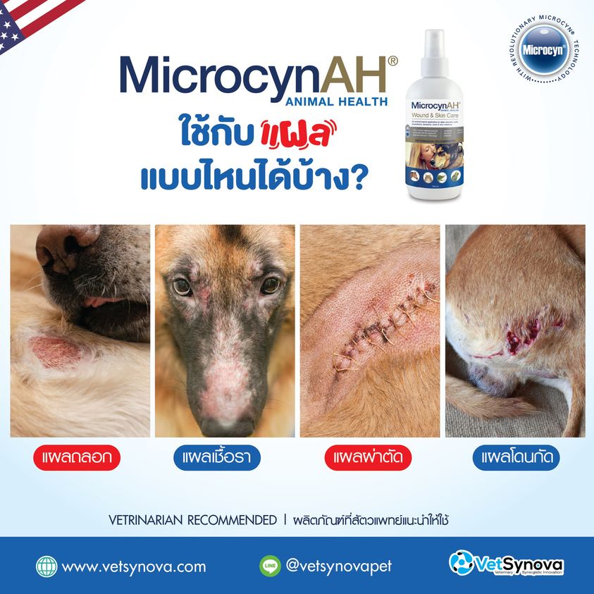 รูปภาพเพิ่มเติมเกี่ยวกับ Microcyn​AH​ Skin care​ spray 59ml.สเปรย์ฆ่าเชื้อช่วยบำรุงผิวฟื้นฟูผิวหนังลดการระคายเคืองคันผื่นแดงสำหรับสุนัขแมว exotic