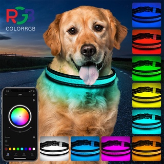 ปลอกคอสุนัข MutovlinLed Bluetooth APP หลายสี RGB Light Up ปลอกคอสุนัขUSB ชาร์จปลอกคอสุนัขกันน้ำสำหรับ Night Safety