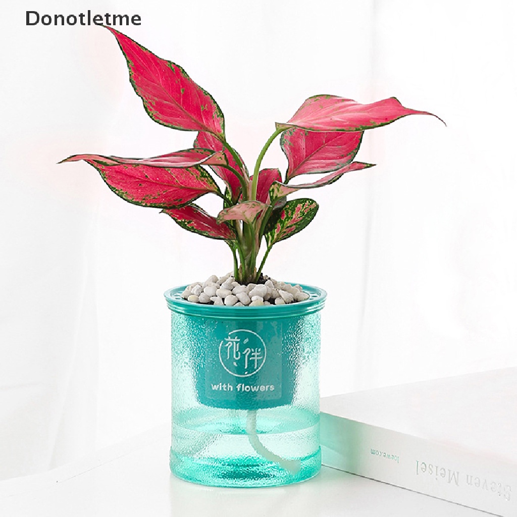 lt-donotletme-gt-กระถางดอกไม้พลาสติกใส-แบบอัตโนมัติ-ลดราคา-1-ชิ้น