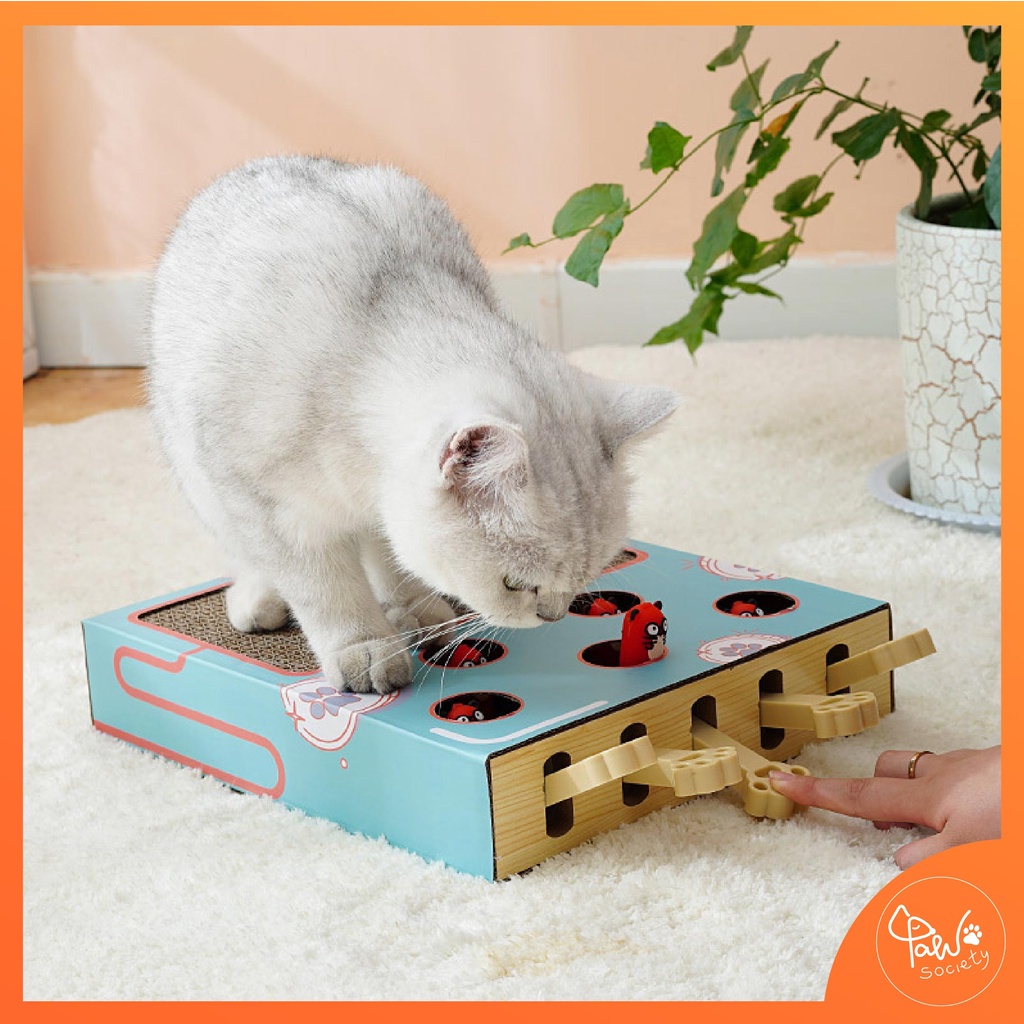 ภาพสินค้าPawSociety กล่องของเล่น พร้อมที่ฝนเล็บแมว ตัวตุ่นแมว ของเล่นแมว ที่ลับเล็บแมว กล่องปริศนา จากร้าน pawsociety บน Shopee ภาพที่ 8