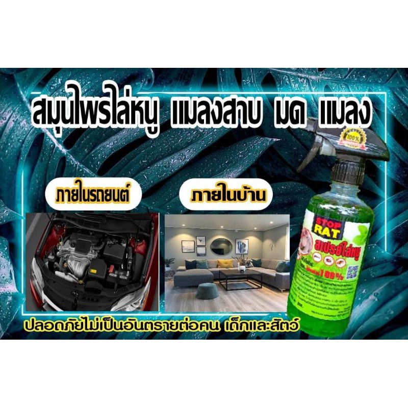 ส่งฟรี-สเปรย์ไล่หนู-ที่รถและบ้าน-ปลอดภัยต่อคนและสัตว์เลี้ยง