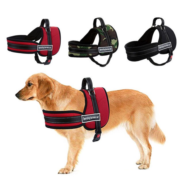 ชุดรัดอกสุนัข-sport-dog-harness-set