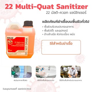 ภาพหน้าปกสินค้าน้ำยาฆ่าเชื้ออเนกประสงค์ ECOLAB 22 Multi-Quat Sanitizer 1,000 ml /1 ลิตร ที่เกี่ยวข้อง