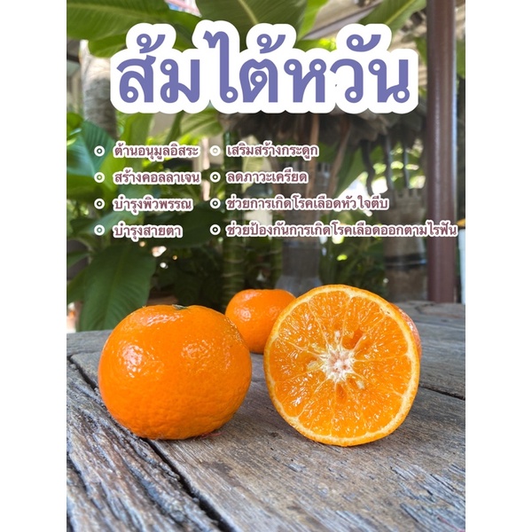 ส้มไต้หวัน-ส้มแมนดาริน