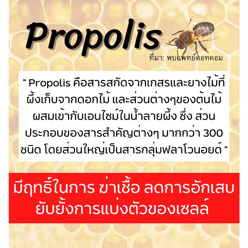 Propolis Label กรีนโอ เกรดสีเขียวจากบราซิลชนิดน้ำเข้มข้น | Shopee Thailand