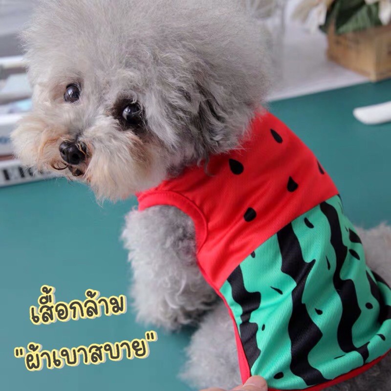 ภาพหน้าปกสินค้าเสื้อกล้ามสัตว์เลี้ยง ผ้าระบายออกดี ลายน่ารัก เสื้อกล้ามน้องหมา เสื้อน้องแมว เสื้อน่าร้อน จากร้าน pliejtp บน Shopee