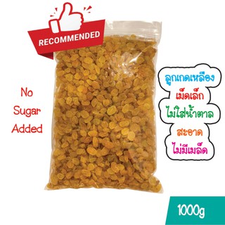 ลูกเกดเหลืองเม็ดเล็ก 1 กิโลกรัม พร้อมทาน มี อย. 🇮🇷 / Golden Raisins 1Kg