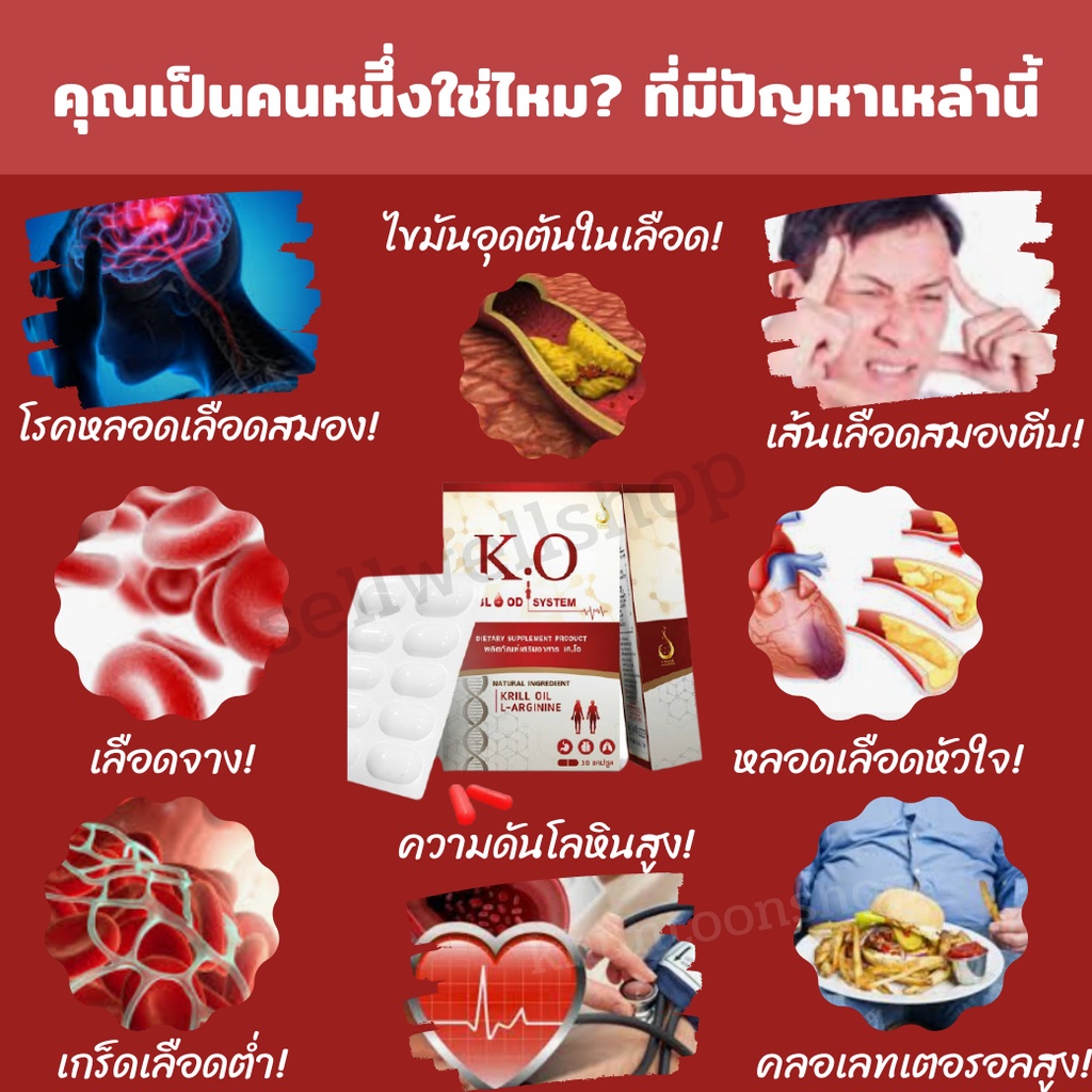 เค-โอ-k-o-ผลิตภัณฑ์เสริมอาหารดีท๊อก-บำรุงเลือด