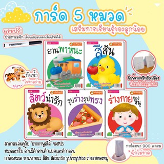 ภาพหน้าปกสินค้าการ์ดคำศัพท์ แฟลชการ์ด 5 หมวดน่าเรียนรู้ ซื้อแยกหมวดได้ Flashcard แฟลตการ์ด หนาฉีดไม่ขาด เคลือบกันน้ำ flash card บัตรคำ ซึ่งคุณอาจชอบสินค้านี้