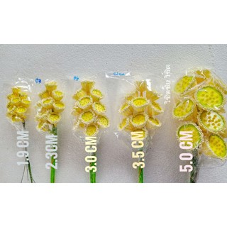 เกสรดอกบัวบรรจุ 10 ดอก  มีหน้าดอกให้เลือกหลายไซส์ เกสรดอกบัวสำหรับงานประดิษฐ์ ดอกบัวประดิษฐ์
