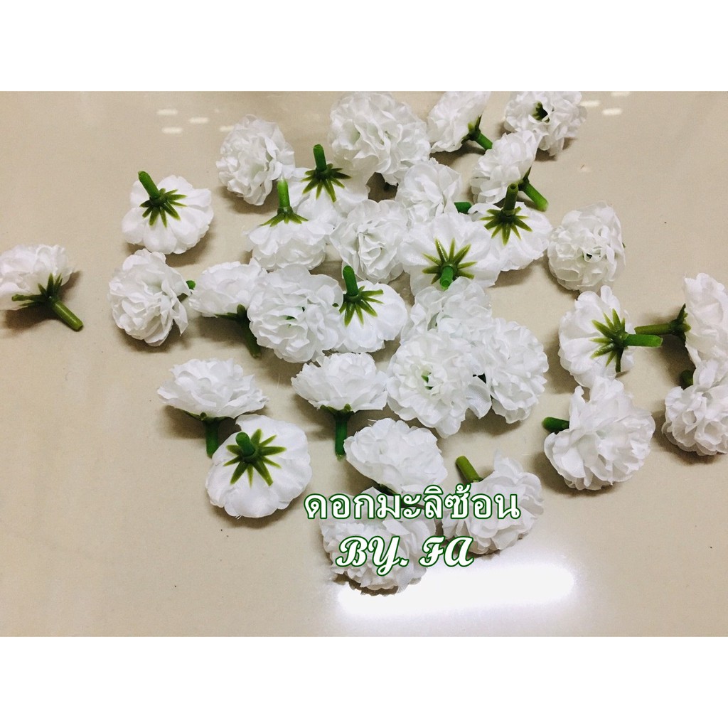 ดอกมะลิ-ดอกมะลิวันแม่-ดอกมะลิซ้อน-15-25ดอกมะลิผ้า-no-098