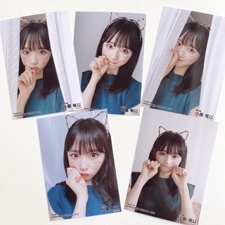 AKB48 Netshop Oguri Yui 🥰🌰Yuiyui ยุยยุย set (5รูป)