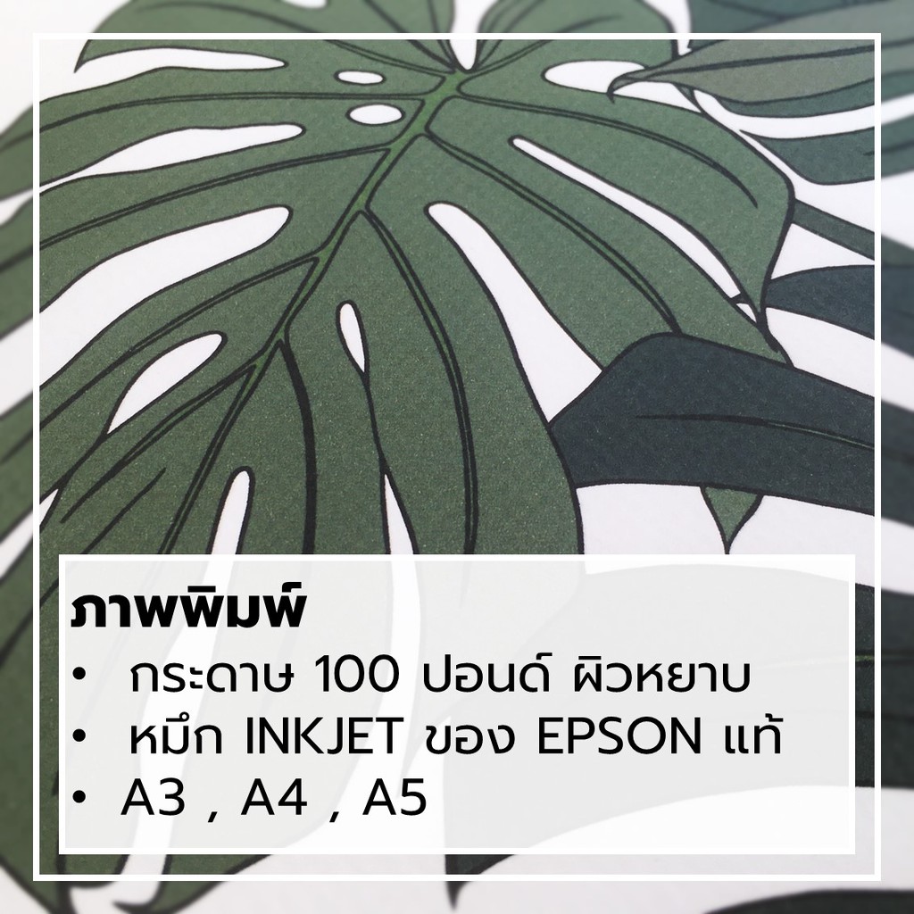 ภาพวาด-ภาพตกแต่ง-รูปตกแต่ง-monstera-มอนสเตอร่า-ใบไม้-กราฟฟิก-กระดาษ100ปอนด์-a3-a4-a5-ภาพพิมพ์-ตกแต่งผนัง