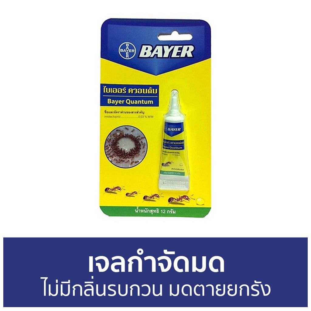 เจลกำจัดมด-bayer-ไม่มีกลิ่นรบกวน-มดตายยกรัง-quantum-กําจัดมด-ยากําจัดมด-กําจัดมดตายยกรัง-เหยื่อกำจัดมด-ผงกําจัดมด