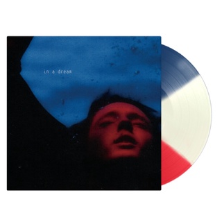 troye sivan vinyl(tri color)