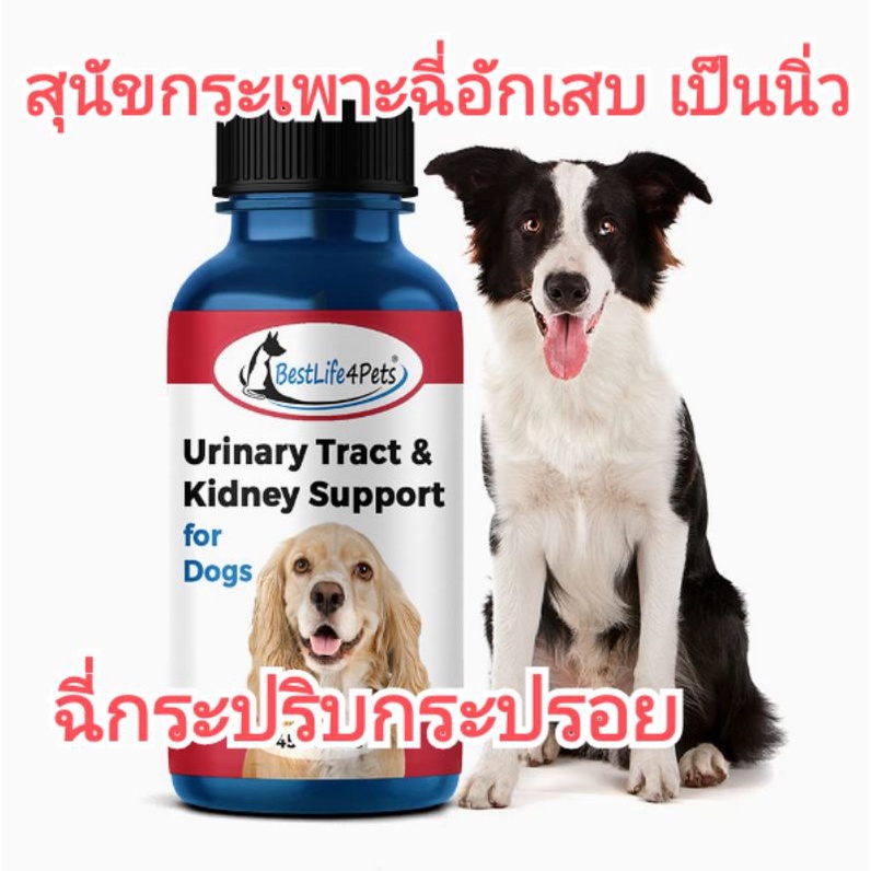 แบ่งขาย-สุนัข-urinary-support-อาหารเสริมดูแลกระเพาะปัสสาวะ-สำหรับสุนัข