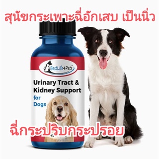 แบ่งขาย (สุนัข) Urinary Support อาหารเสริมดูแลกระเพาะปัสสาวะ สำหรับสุนัข