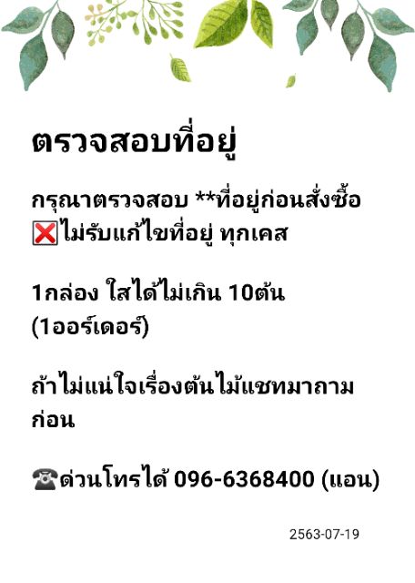 ต้นทุเรียนหมอนทอง-ใหม่รุ่นปี-66-เลือกทรงได้