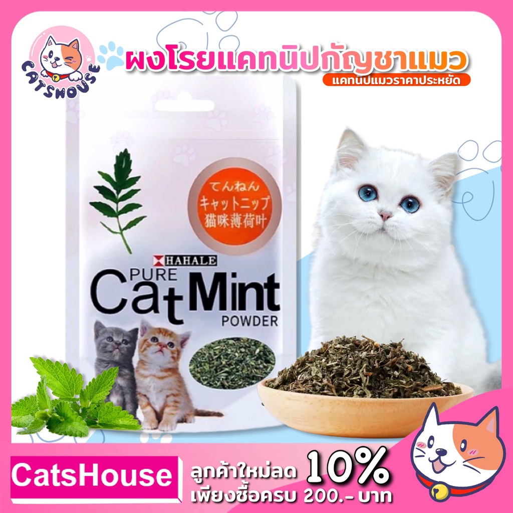 ราคาและรีวิวกัญชาแมว แคทนิป ของเล่นแมว Catnip ของใช้แมว อุปกรณ์แมว ผงแคทนิปแมว ราคาถูก ขนาด 5 กรัม