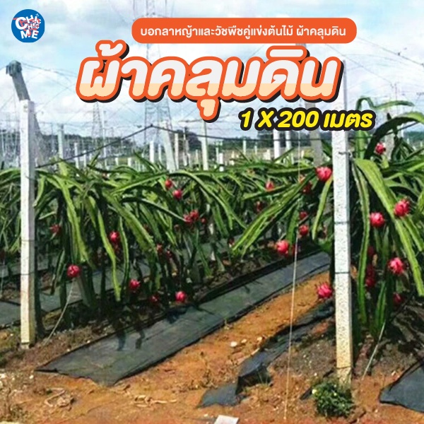 ผ้าคลุมดินกันวัชพืช-1-x-200-m-เกรดaaa-พลาสติกคลุมดินกันหญ้าขึ้น