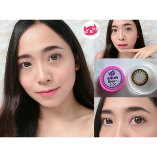 💖 Kitty Kawaii  Snow brown gray Contactlens บิ๊กอาย คอนแทคเลนส์ ราคาถูก แถมตลับฟรี