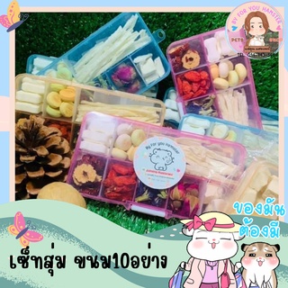 🍬ขนมมีประโยนช์ 🍬Hamster ชูการ์ เม่นแคระ และ สัตว์ฟันแทะทุกชนิด 10 อย่าง ( แบบ สุ่ม )