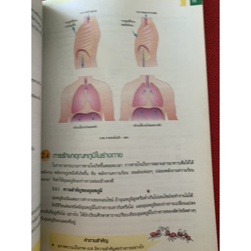 หนังสือเรียน-ชีววิทยา-ม4-มือ-2-biology