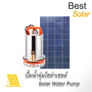 ปั๊มน้ำจุ่ม/แช่ โซล่าเซลล์ 300w พร้อมแผงโซล่าเซลล์ 300 วัตต์ฟรี(ต่อไฟบ้าน/แบตเตอรี่/ตั้งเวลาได้) SP300