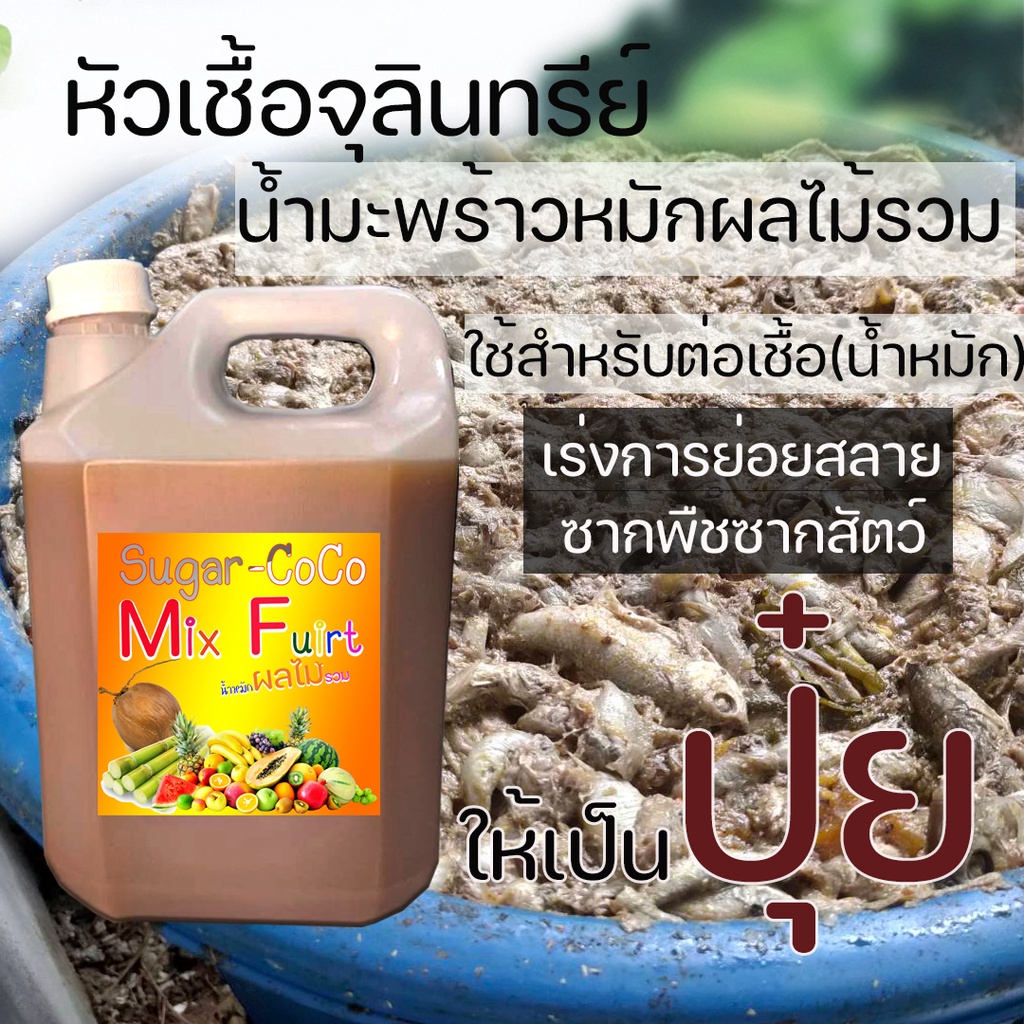น้ำมะพร้าวหมักผลไม้รวม-ขนาด5ล-หัวเชื้อ-จุลินทรีย์-ชีวภาพ-ต่อเชื้อน้ำหมัก-เร่งย่อย-เร่งยอด-เปิดตาดอก-ปุ๋ย-ปุ๋ยน้ำ-ชีวภาพ