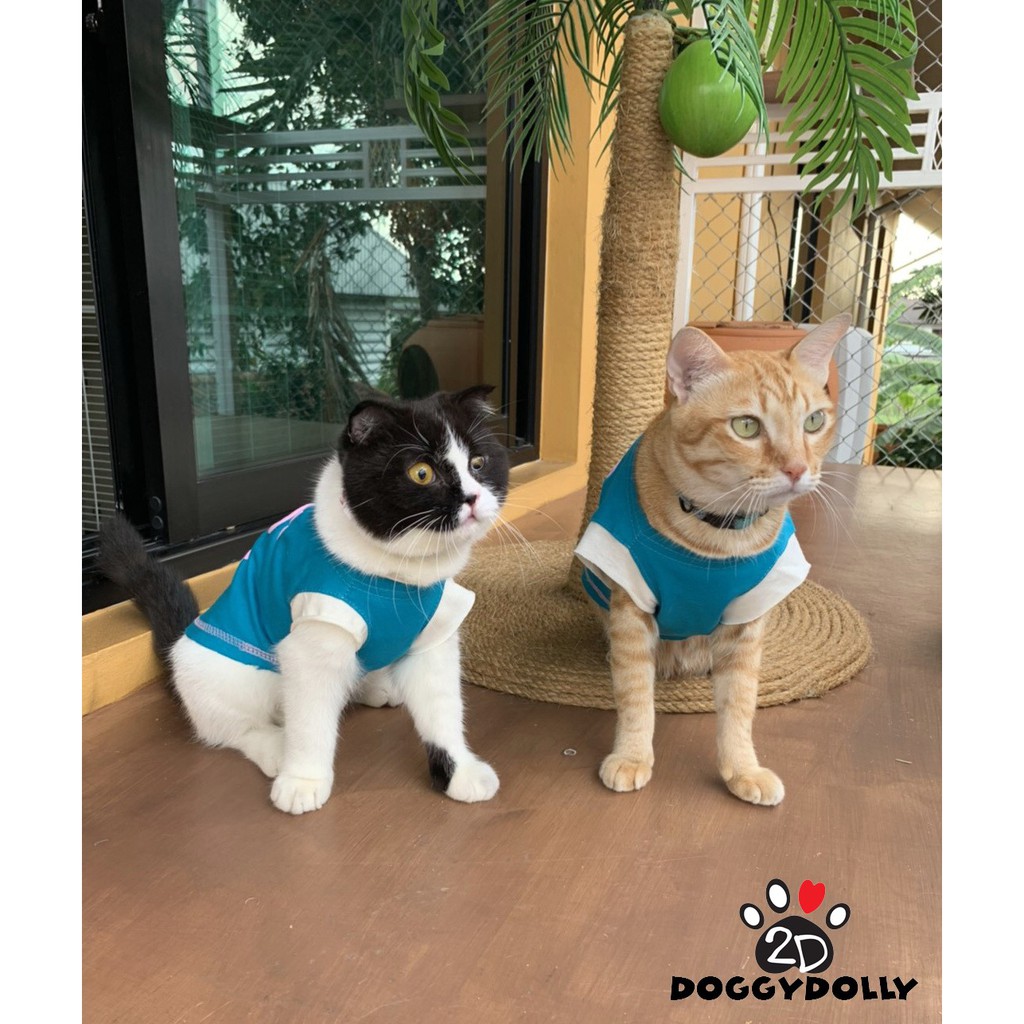 pet-cloths-doggydolly-เสื้อผ้าแฟชั่น-เสื้อผ้าสัตว์เลี้ยง-เสื้อผ้าหมาแมว-เสื้อยืด-เสื้อคอกลม-t694-ขนาด1-9โล