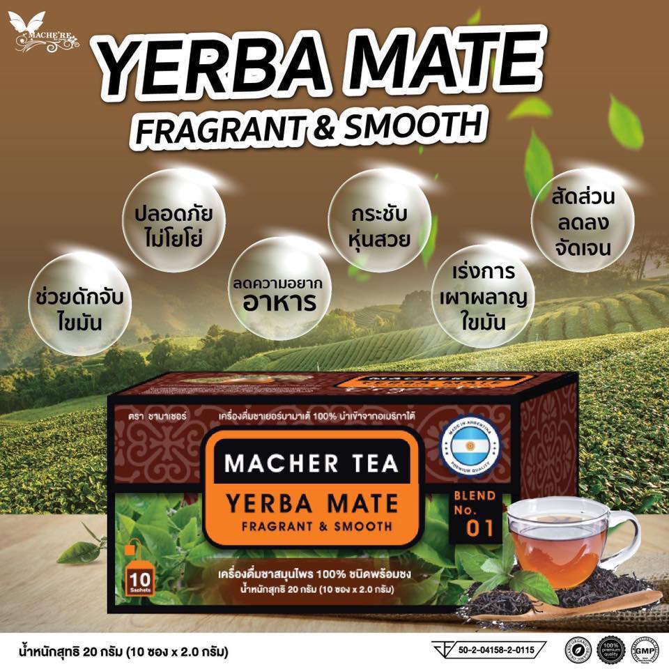 ของแท้-ส่งด่วน-ถูก-แพ็คอย่างดี-ชามาเชอร์-macher-teaชามาเตmacher-tea-yerba-mate-macher-tea-มาเชอรี่-เยอร์-บามาเต