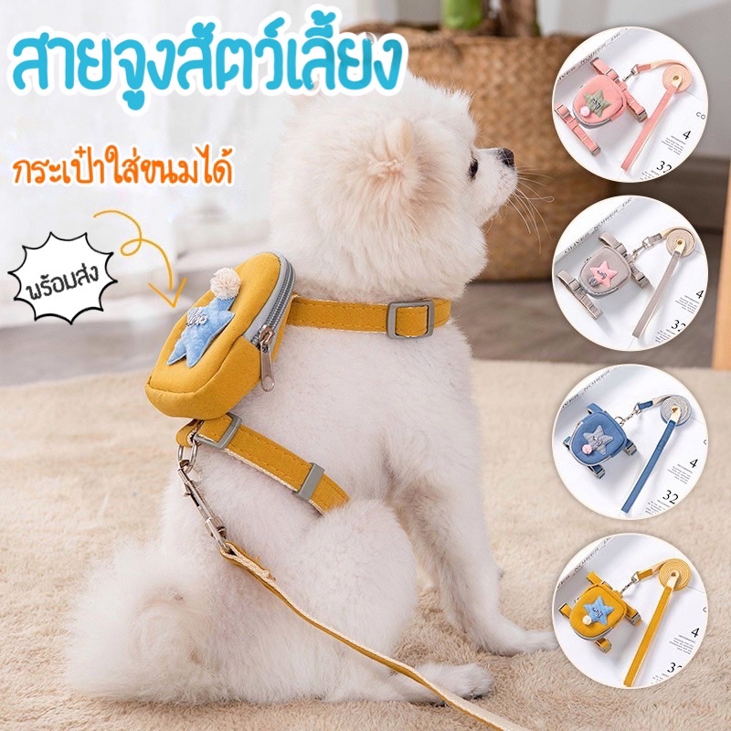 พร้อมส่ง-สายจูงสัตว์เลี้ยง-สายจูงน้องหมา-สายจูงน้องแมว