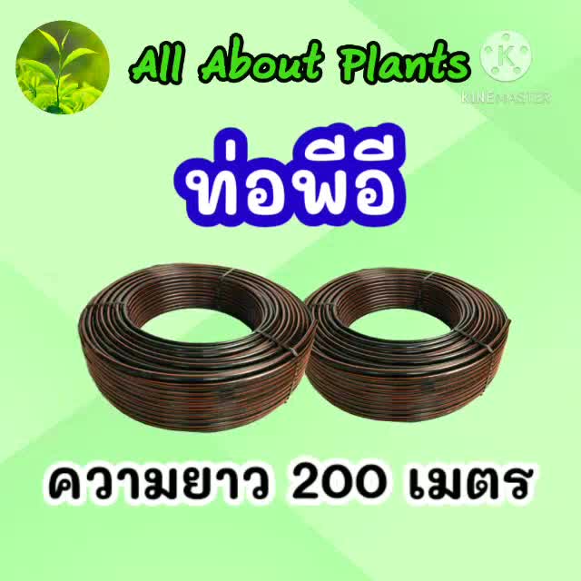 ท่อ-pe-20mm-ยาว-200m-ท่อพีอี-ท่อเกษตร-ขนาด-20-มิล-allaboutplants