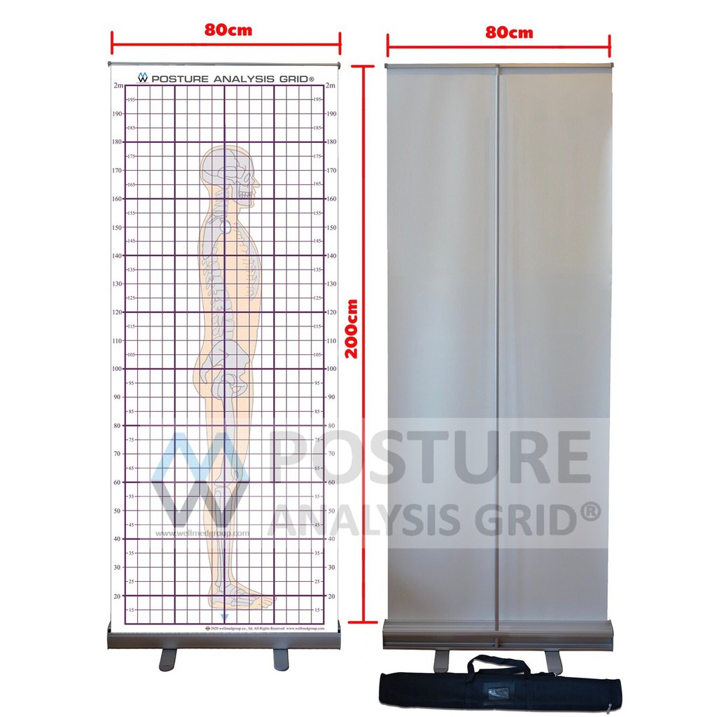 Postural Analysis Grid Chart Shopee Thailand