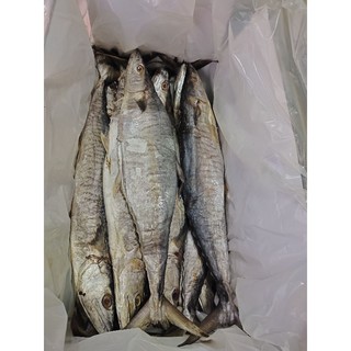 ภาพหน้าปกสินค้าปลาอินทรีย์หอมตัว 1 - 1.5 โล (500 บาท) #ปลาอินทรีย์หอม #ของฝากแม่กลอง ที่เกี่ยวข้อง