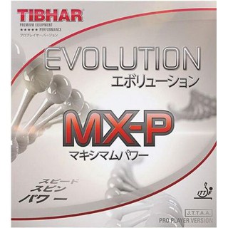 สินค้า ยางปิงปอง Tibhar MX-P