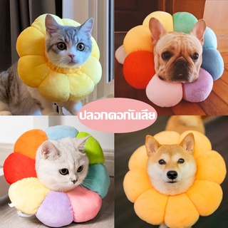 🔥พร้อมส่ง🐈 ปลอกคอกันเลีย ปลอกคอสัตว์เลี้ยงร น่ารัก ปลอกคอสัตว์เลี้ยง ปลอกคอแมว สุนัข หมา ปลอกคอกันเลีย