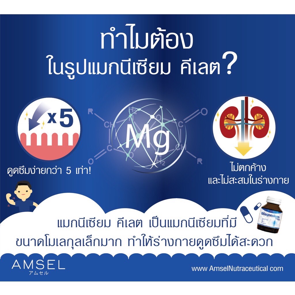 amsel-magnesium-plus-แอมเซล-แมกนีเซียม-พลัส-30-แคปซูล