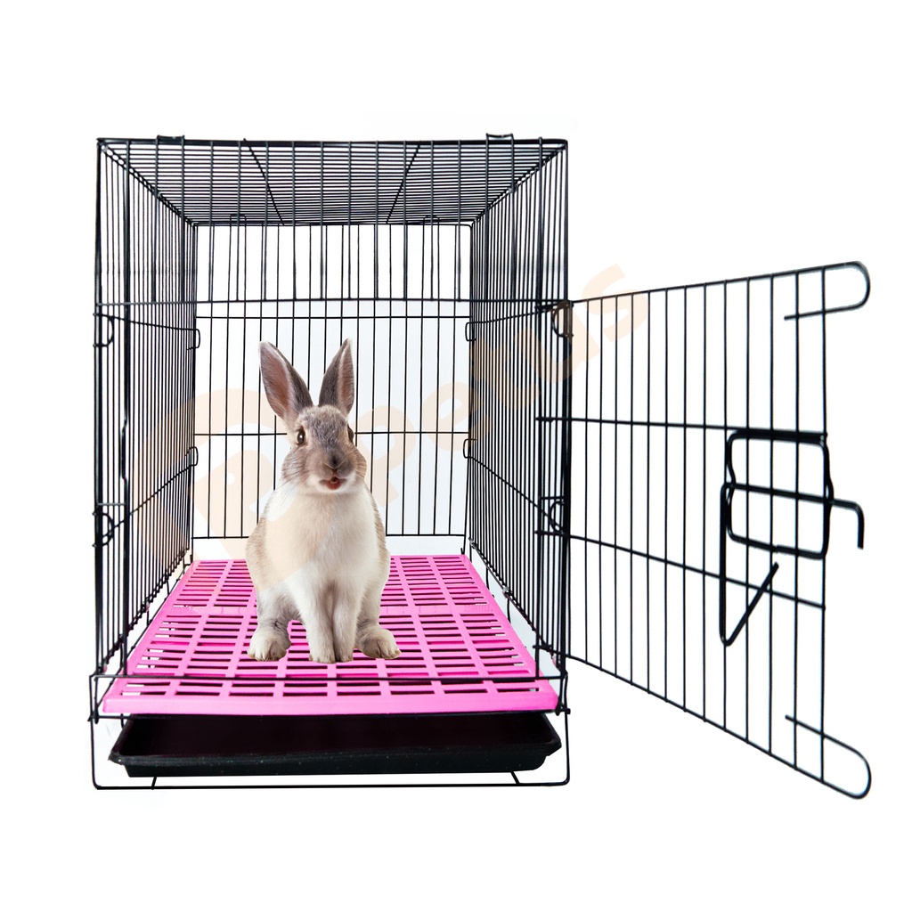 กรงสัตว์เลี้ยง-กรง-กระต่าย-กรงกระต่าย-กรงพับได้-บ้านกระต่าย-50x35x43cm-แกสบี้-กรงหนู-กรงสัตว์เล็ก-rabit-cage-dave