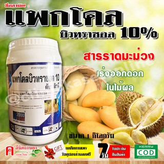 แพกโคลบิวทราซอล 10%, 15% สารราดมะม่วง บังคับให้ออกดอก การทำไม้ผลนอกฤดู เช่น ทุเรียน มะม่วง ไม้ดอก (1กิโลกรัม)