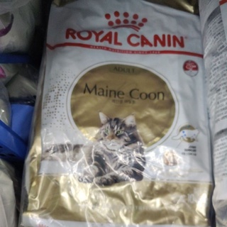 Royal Canin Maine Coon 10kg