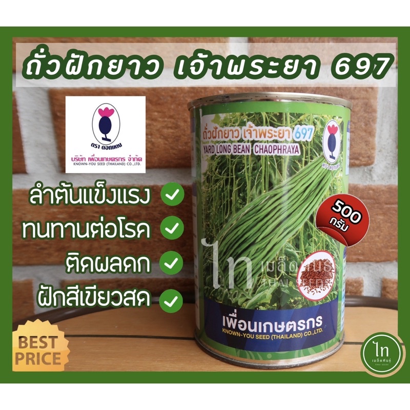 ภาพหน้าปกสินค้าถั่วฝักยาว เจ้าพระยา 697 เมล็ดพันธุ์ ถั่วฝักยาว ตราเพื่อนเกษตร บรรจุ 500 กรัม จากร้าน thaiseedmarket บน Shopee