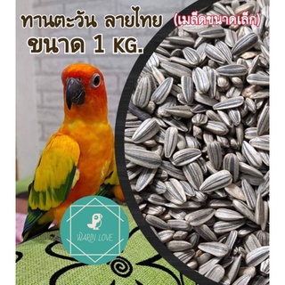 เมล็ดทานตะวันลายไทย(เมล็ดขนาดเล็ก) แบบ 500 g. , 1 Kg. , 3 Kg.  สะอาดไม่มีฝุ่นเกรดA อาหารสำหรับนก และ สัตว์ฟันแทะ