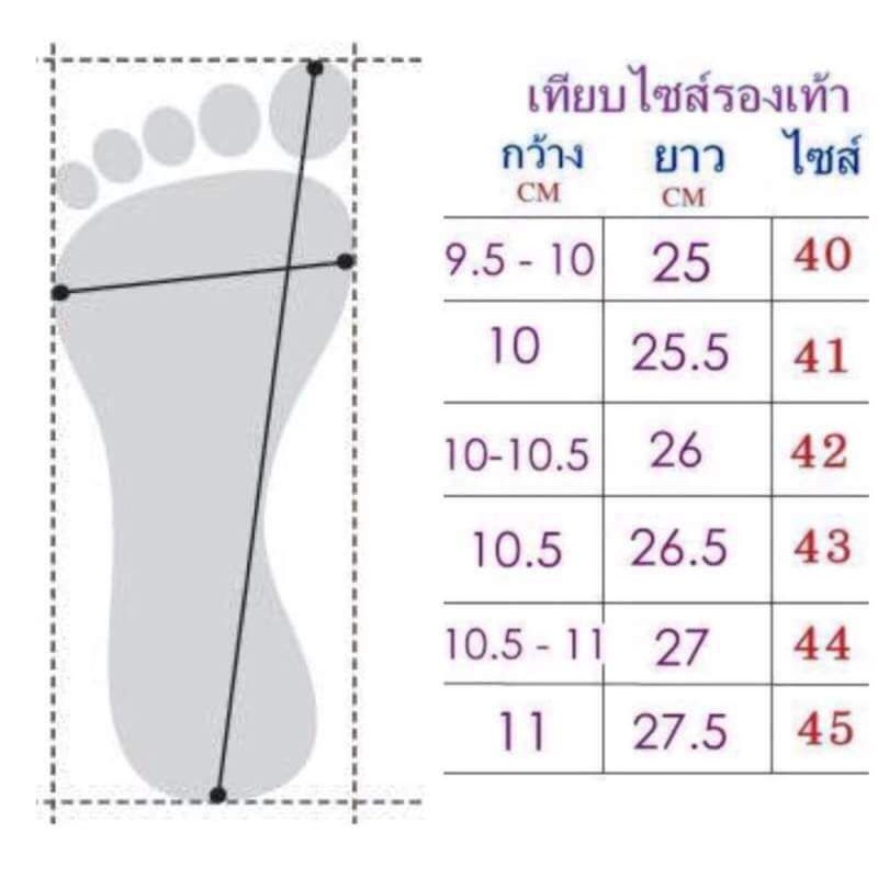 คัชชูบิ๊กไซส์159-ฟรีค่าจัดส่ง