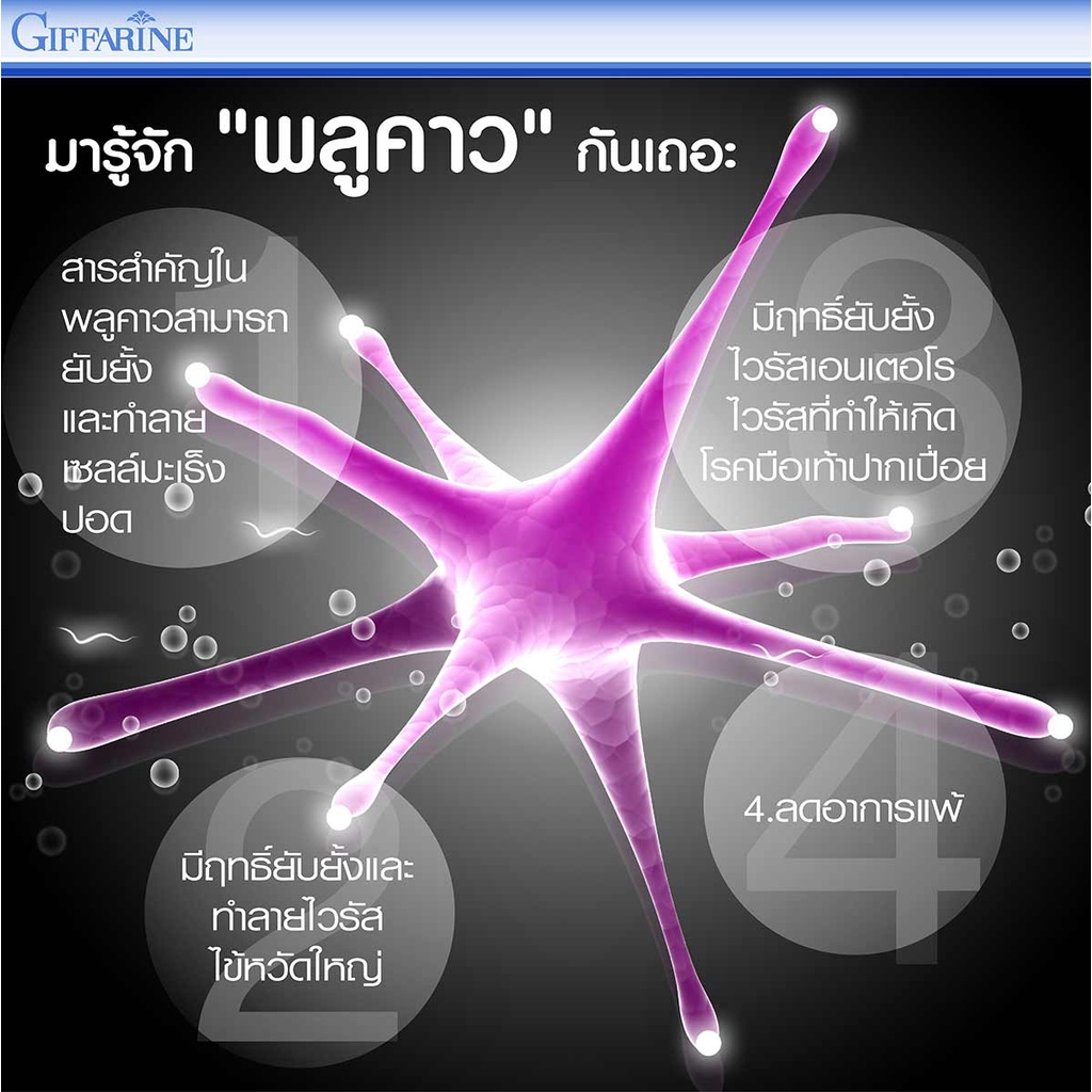 ภูมิแพ้-เสริมภูมิคุ้มกัน-พลูคาว-กิฟฟารีน-เบต้า-พลูคาว-beta-plu-kao-giffarine-พลูคาวสกัด-เบต้า-กลูแคน-ต้านหวัด-ต้านไวรัส